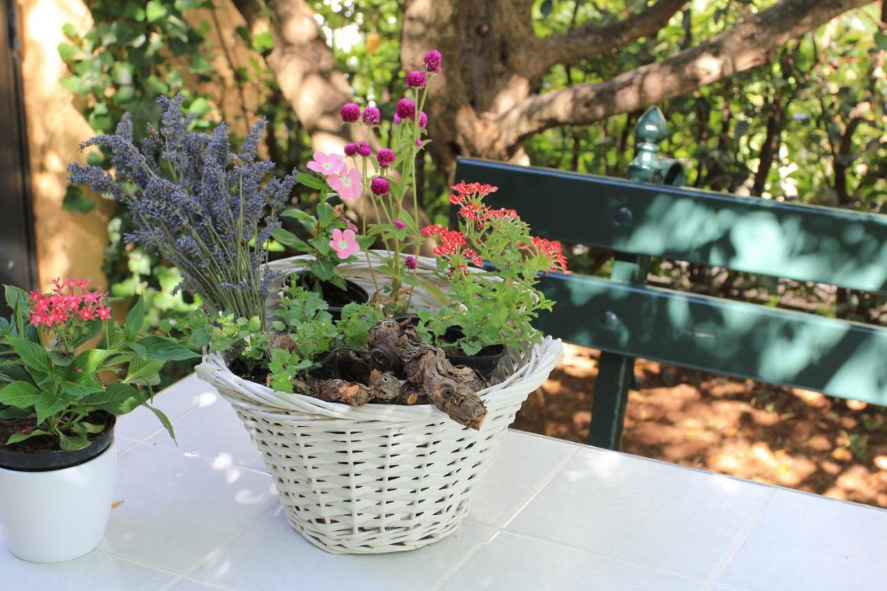 Vila Rojana Vodice Dış mekan fotoğraf